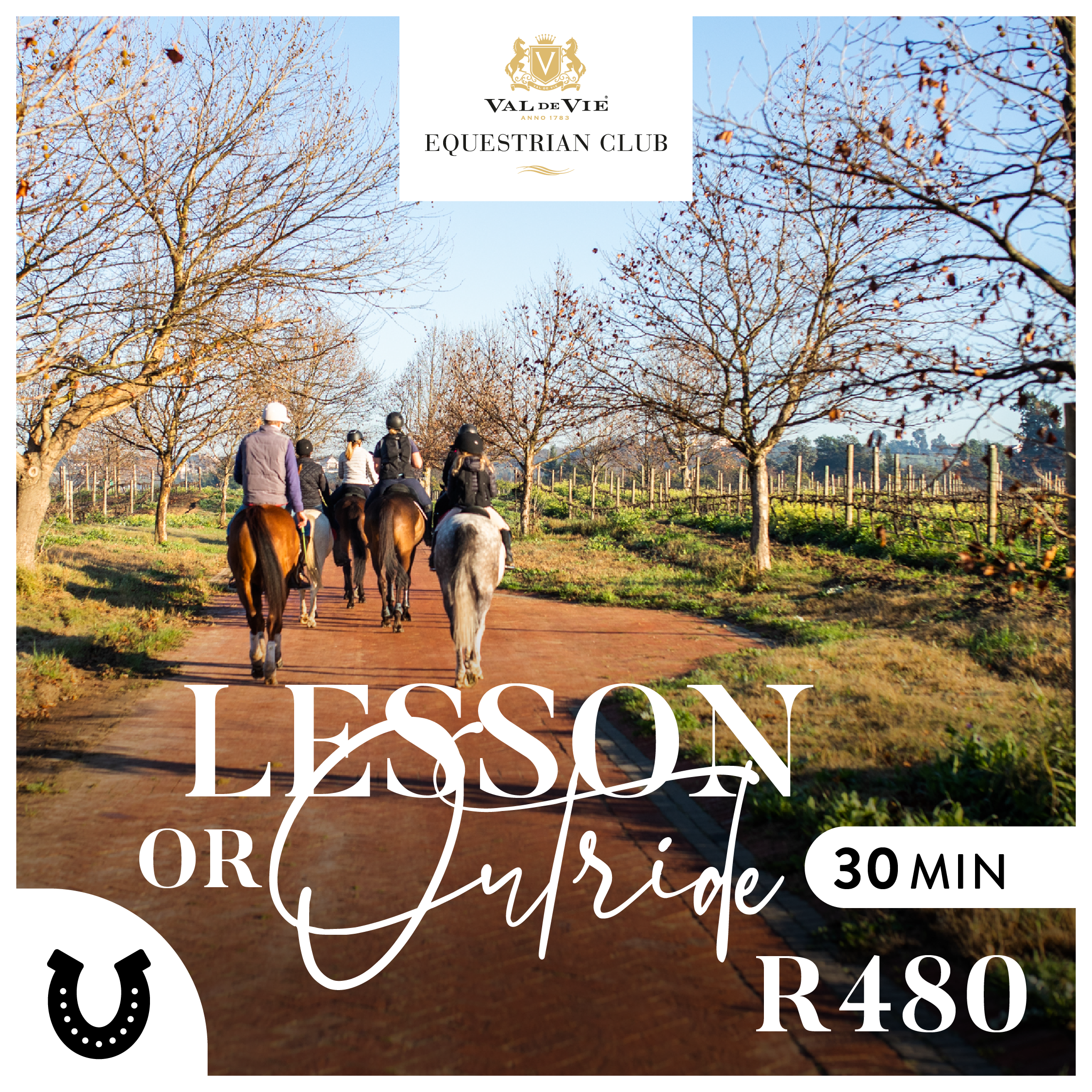 Riding Lesson or Outride at the Val de Vie Equestrian Club - 30 Minutes